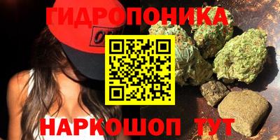 jwh Будённовск