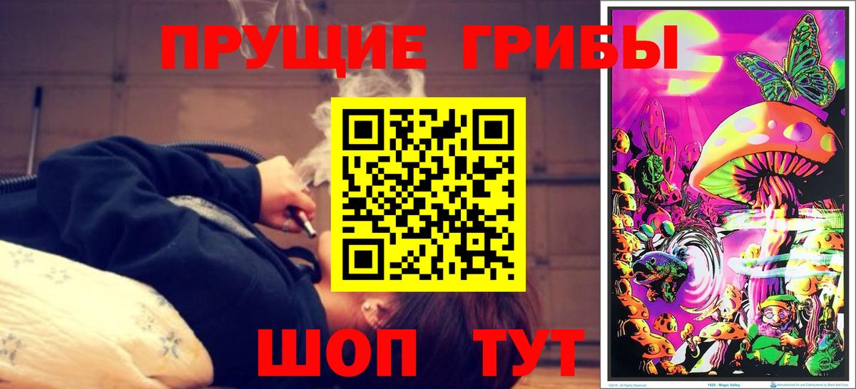 Псилоцибиновые грибы прущие грибы Родники