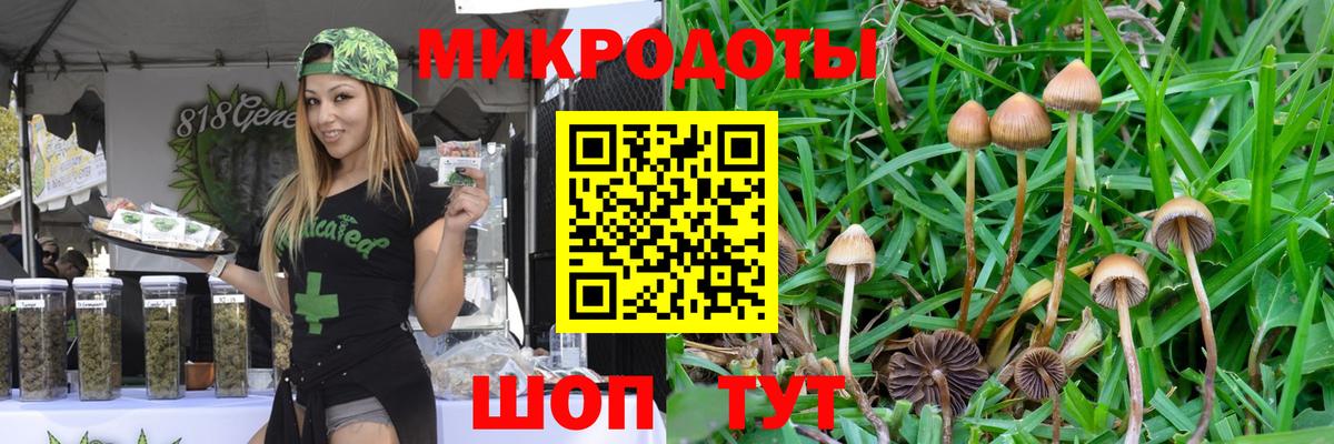Псилоцибиновые грибы мицелий  как найти   Вход с VPN  Родники  Галлюциногенные грибы Magic Shrooms 